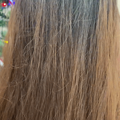 Mini Placa de Par portabila